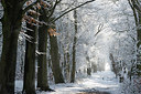 BUITEN BEELD Foto: 251603