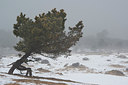 BUITEN BEELD Foto: 251606