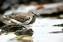 BUITEN BEELD Foto: 251626