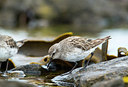 BUITEN BEELD Foto: 251627