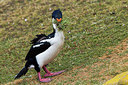 BUITEN BEELD Foto: 251645