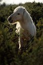 BUITEN BEELD Foto: 251692