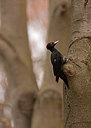 BUITEN BEELD Foto: 251699