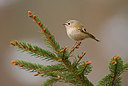 BUITEN BEELD Foto: 251700