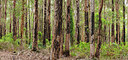 BUITEN BEELD Foto: 251708
