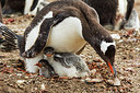 BUITEN BEELD Foto: 251802