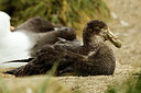 BUITEN BEELD Foto: 251821