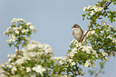 BUITEN BEELD Foto: 251870