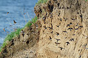 BUITEN BEELD Foto: 251882
