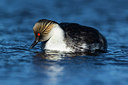 BUITEN BEELD Foto: 251909