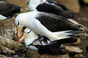 BUITEN BEELD Foto: 252021