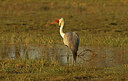 BUITEN BEELD Foto: 252158