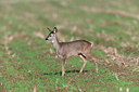 BUITEN BEELD Foto: 252369