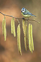 BUITEN BEELD Foto: 252378