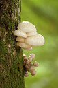 BUITEN BEELD Foto: 252380
