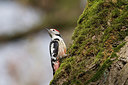 BUITEN BEELD Foto: 252419