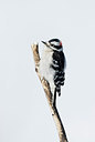 BUITEN BEELD Foto: 252448