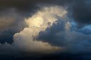 BUITEN BEELD Foto: 252464