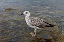 BUITEN BEELD Foto: 252506