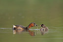 BUITEN BEELD Foto: 252519