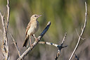 BUITEN BEELD Foto: 252541