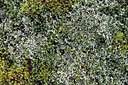 BUITEN BEELD Foto: 252600