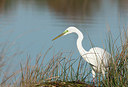 BUITEN BEELD Foto: 252605