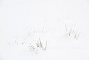 BUITEN BEELD Foto: 252612