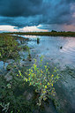 BUITEN BEELD Foto: 252749