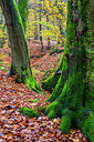BUITEN BEELD Foto: 252761