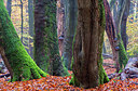 BUITEN BEELD Foto: 252767