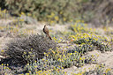 BUITEN BEELD Foto: 252786