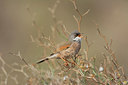 BUITEN BEELD Foto: 252815