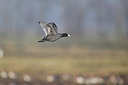 BUITEN BEELD Foto: 252847