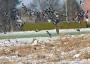 BUITEN BEELD Foto: 252931