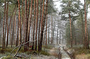 BUITEN BEELD Foto: 253006