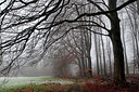 BUITEN BEELD Foto: 253013