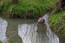 BUITEN BEELD Foto: 253101