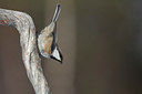 BUITEN BEELD Foto: 253102