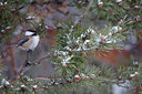 BUITEN BEELD Foto: 253105