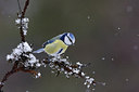 BUITEN BEELD Foto: 253116