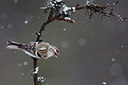 BUITEN BEELD Foto: 253122