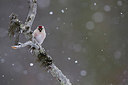 BUITEN BEELD Foto: 253123