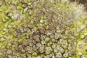 BUITEN BEELD Foto: 253202