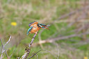 BUITEN BEELD Foto: 253250