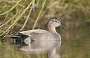 BUITEN BEELD Foto: 253323