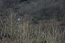 BUITEN BEELD Foto: 253345