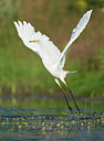BUITEN BEELD Foto: 253359