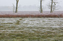 BUITEN BEELD Foto: 253389