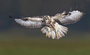 BUITEN BEELD Foto: 253406